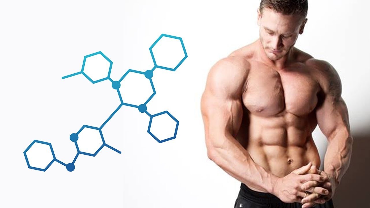 Global Testosterone Booster Market Is Estimated To Witness High Growth Owing To Increasing Demand for Natural Supplements