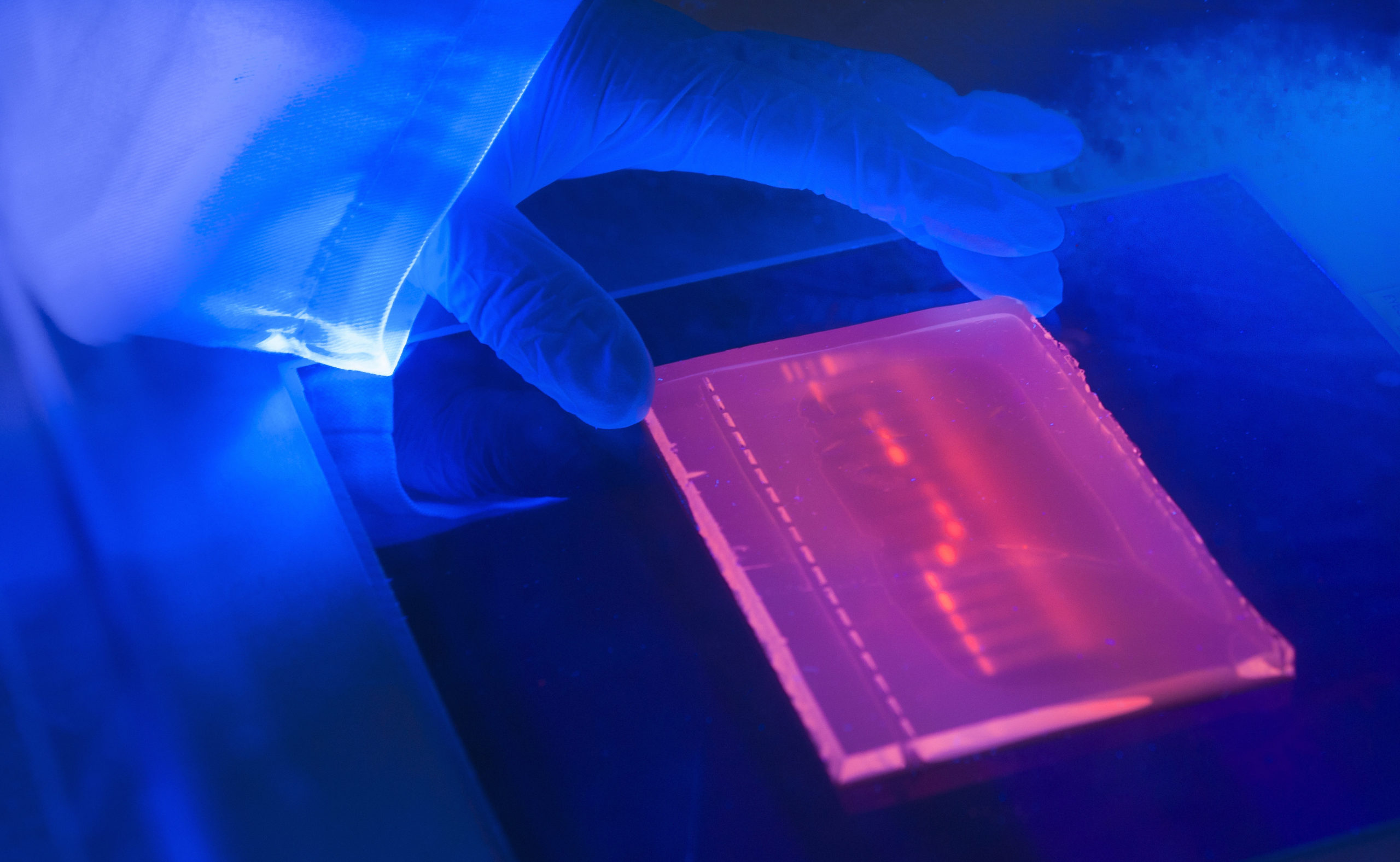 Electrophoresis Market Size, Share, Demand, Trends, Growth and Forecast Analysis 