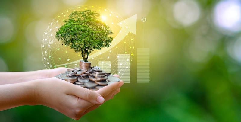 Navigating the Path to a Low-Carbon Economy: The Significance of Climate and Carbon Finance