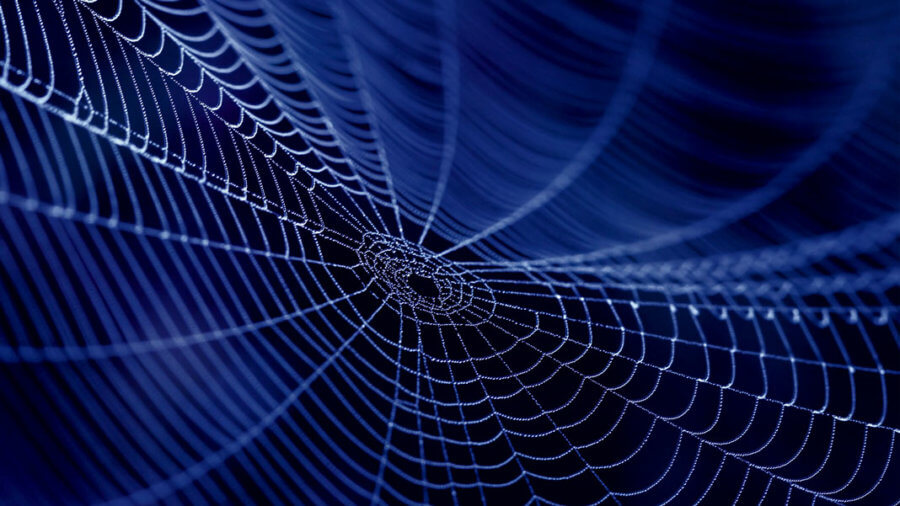 Synthetic Spider Silk Market Size, Share Global Updates, Future Growth, Forthcoming Developments