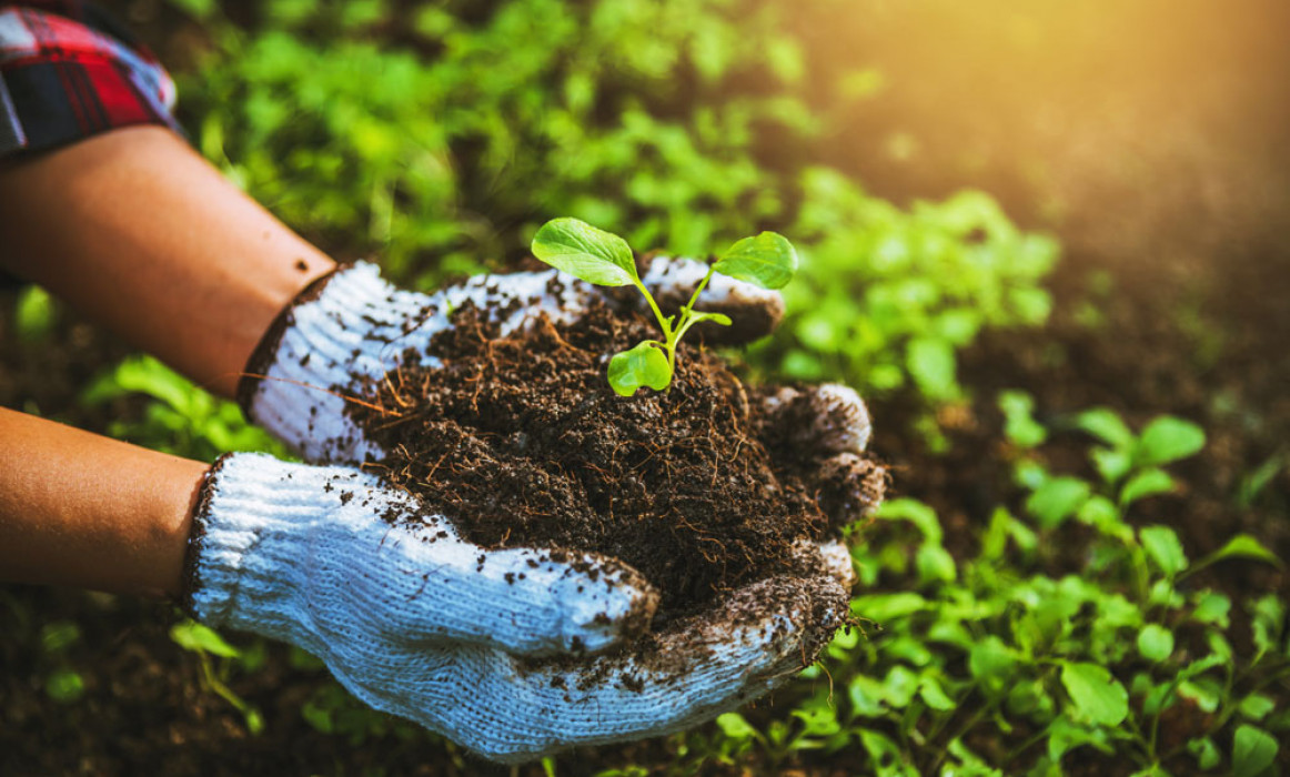 Organic Farming: Connecting Consumers to Nature's Bounty