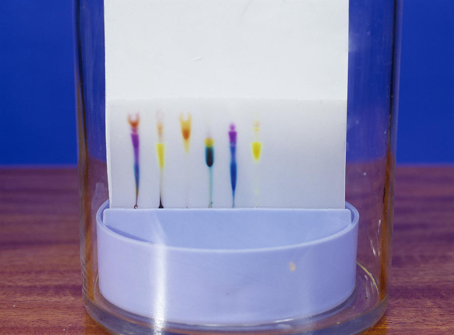 Chromatography in Food Science: Safeguarding Consumer Health and Quality Control