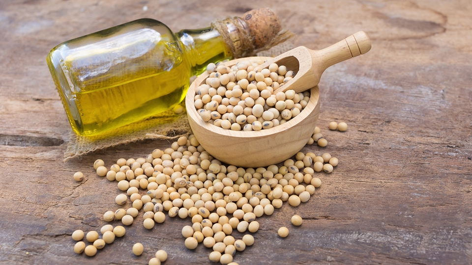 Soy Lecithin: From Lactation Aid to Promoting Breast Milk Quality
