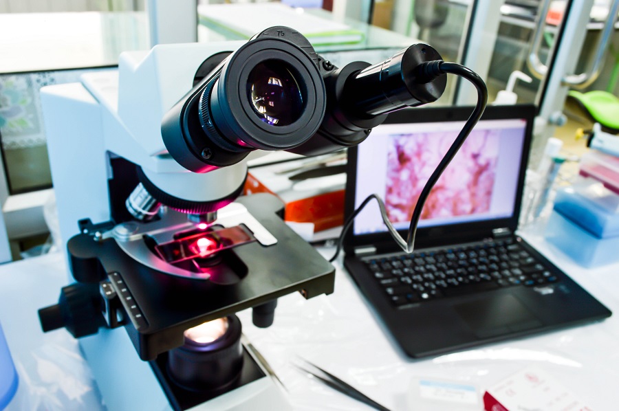 Digital Pathology Market Trends, Market Analysis, Supply Demand Scenario and Growth Prospects Survey till 2028