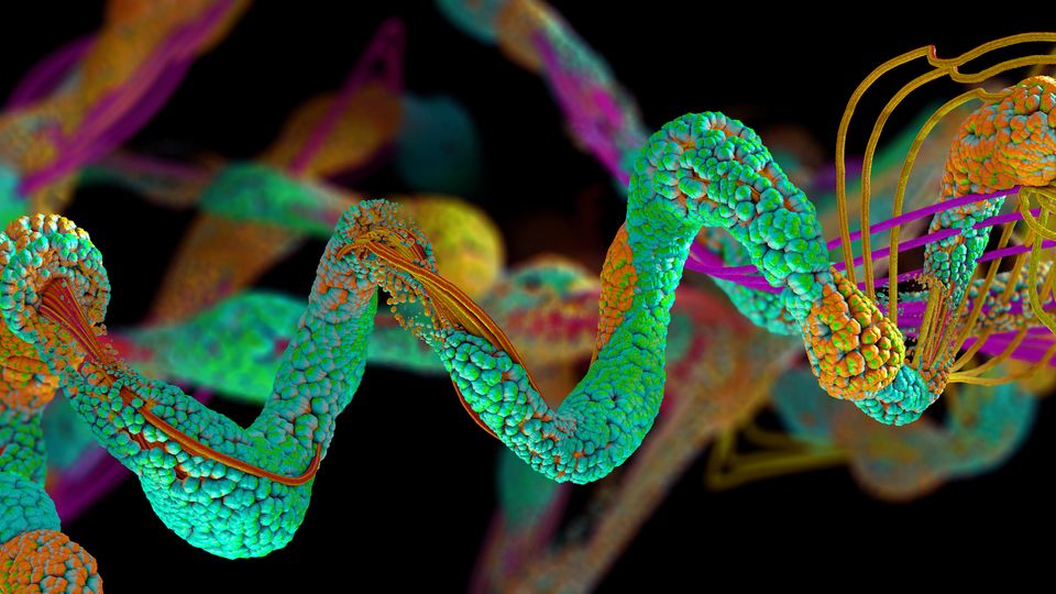 Proteomics and Cancer Research: Unraveling the Molecular Complexity of Tumors