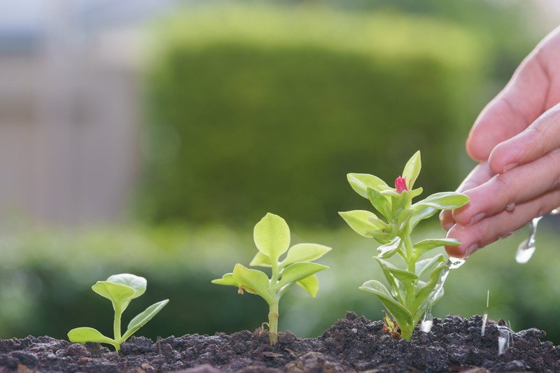 Biostimulants Market Size, Share, Impressive Company Growth, Report 2027