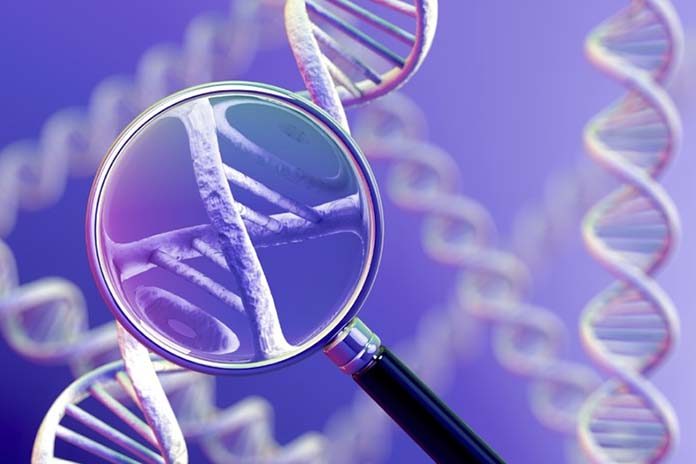 Unmasking the Genetic Code: Illuminating Animal Genetics