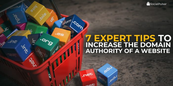 7 Expert Tips To Increase The Domain Authority Of A Website