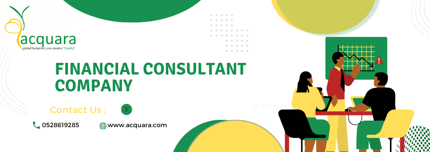 Services a Financial Consultant Company Provides in Dubai