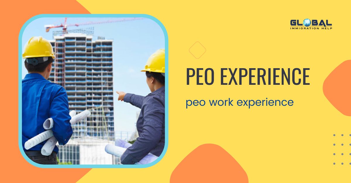 Quality-Based Criteria For PEO Experience 