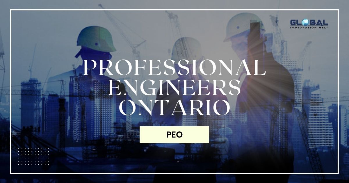 What Are The Conditions For A PEO Provisional Licence 