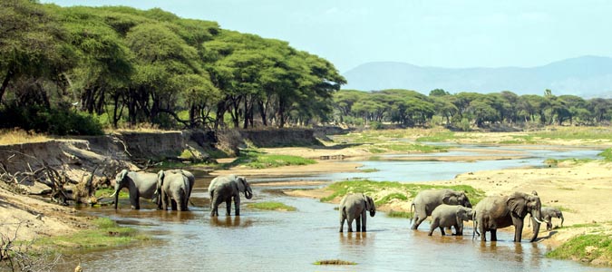Travel to Discover Best Uganda Safari Tours from USA – A Must Visit Destination! 