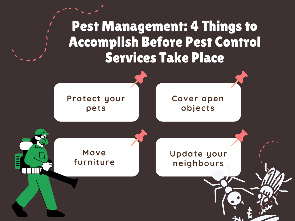 Pest Management: 4 Things to Accomplish Before Pest Control Services Take Place
