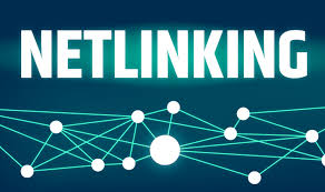 Qu'est-ce que le netlinking ?