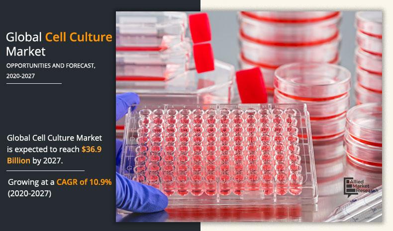 Cell Culture Market to Surpass USD $36.92 Billion | Allied Market Research