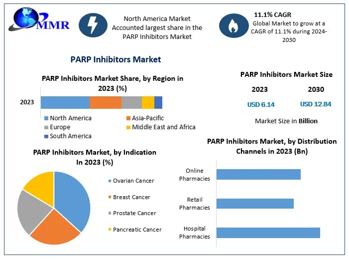 PARP Inhibitors Market Growth Top Manufacturers, Future Investment, Revenue, Developments, Size, Share, and Forecast 2030