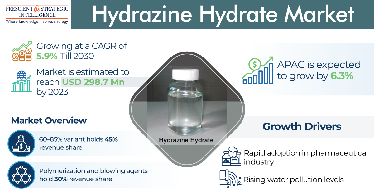 Unveiling Potential: Navigating the Hydrazine Hydrate Market