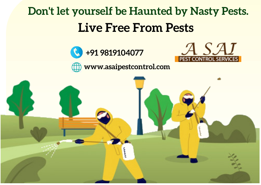 Pest Control Services | A sai Pest Control