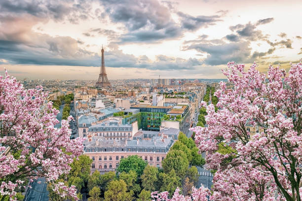 Get better Paris pictures