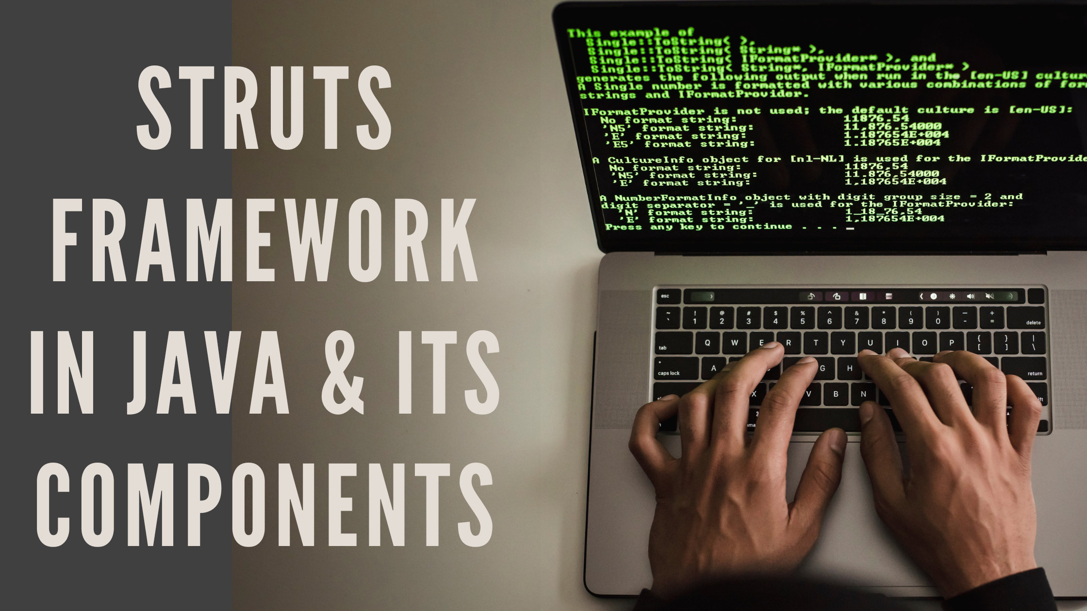Java's Strut Framework and its Components