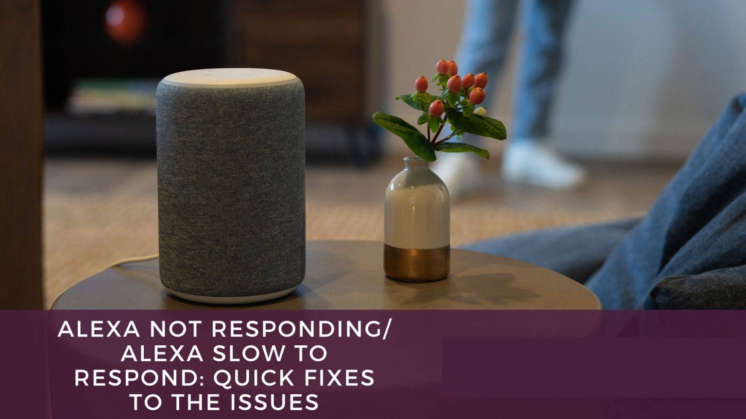 Alexa Not Responding 1-8772649747 Alexa Not Working