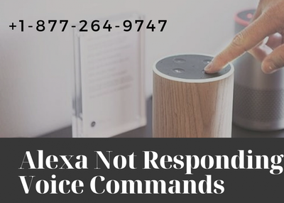 Alexa Not Responding to Voice Commands?