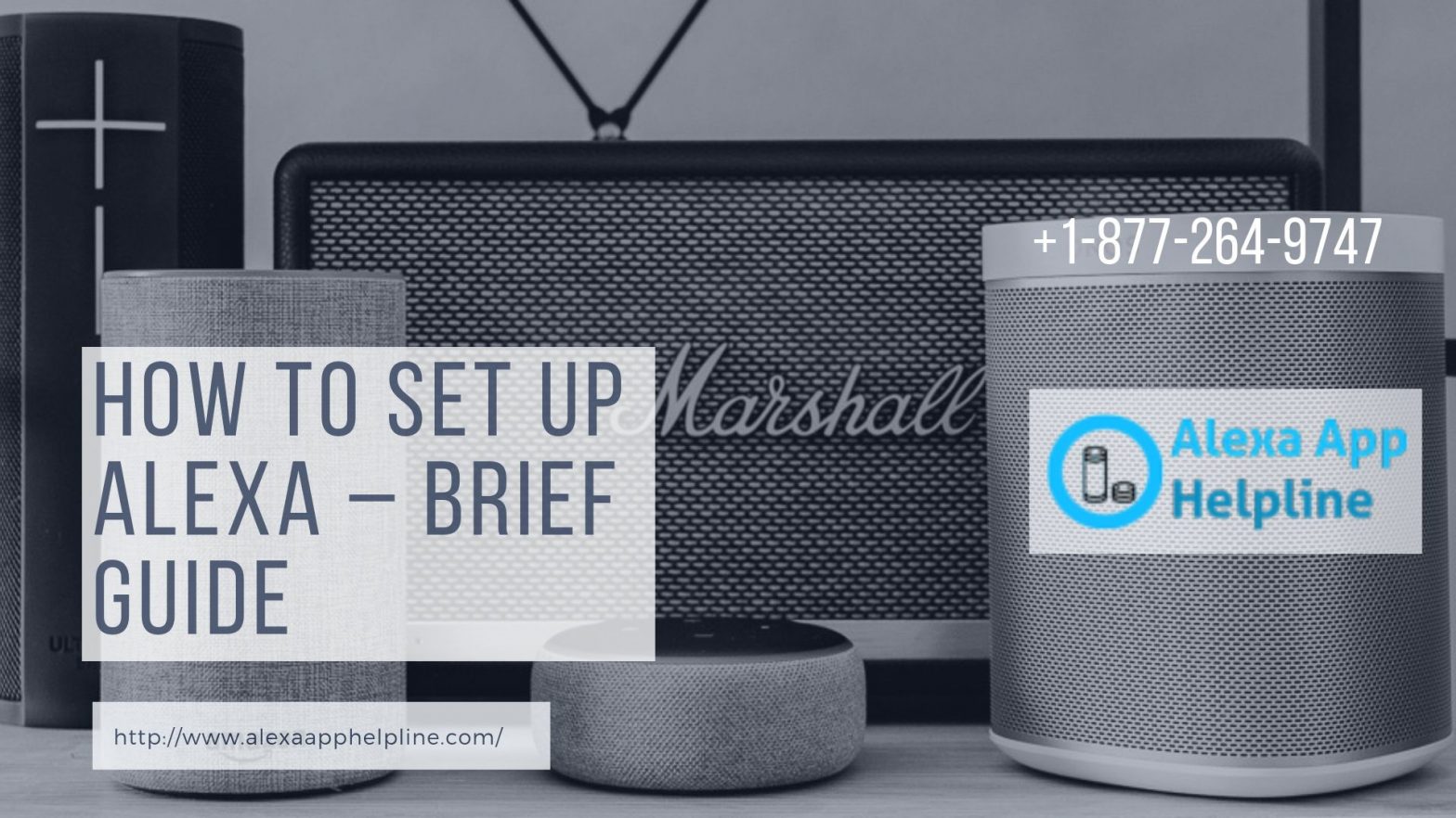 Get Quick Help to Setup Alexa Dot!