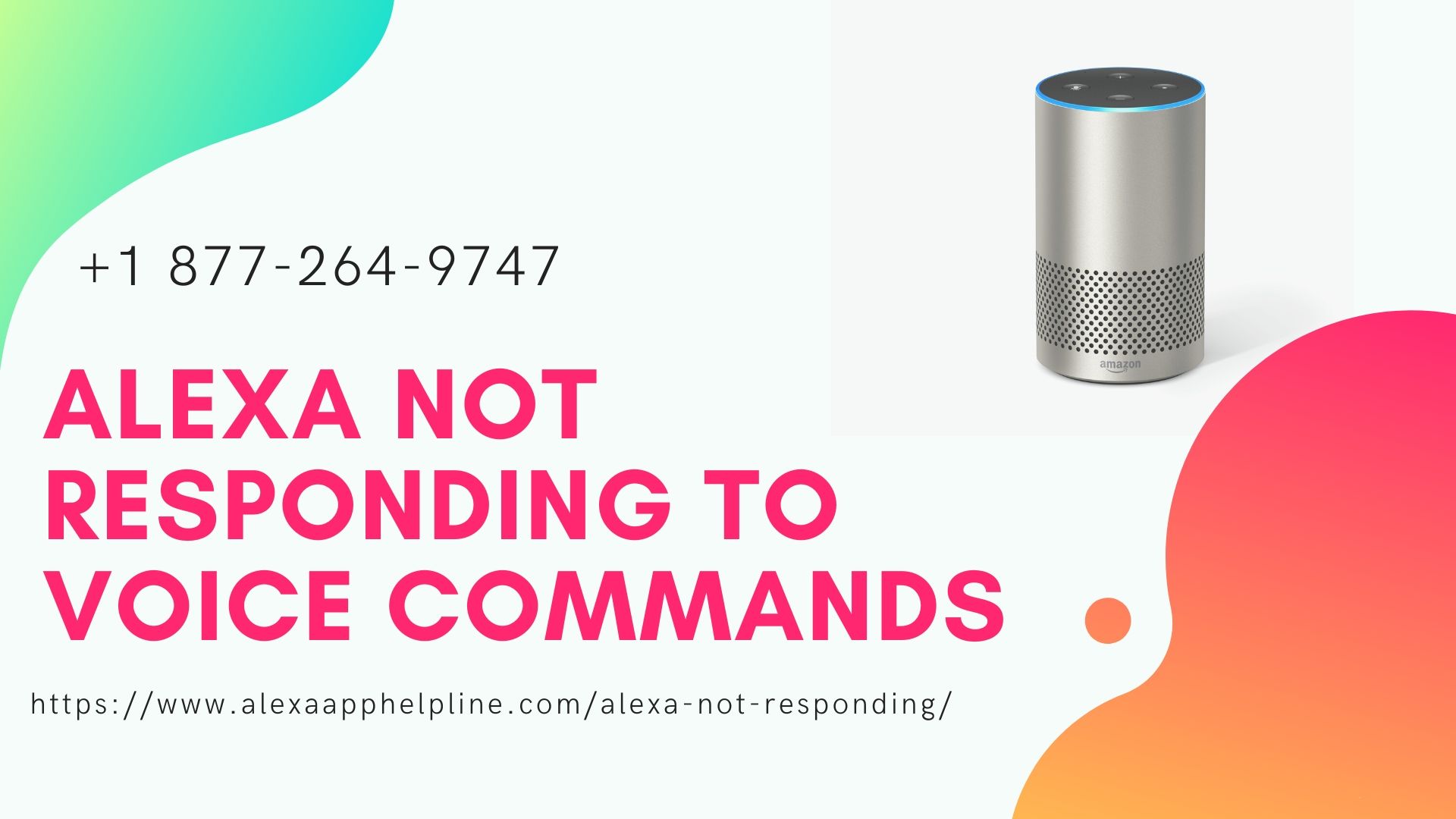 Is Your Alexa Not Responding –Tips &Tricks
