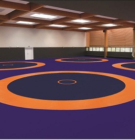 Wrestling Mats