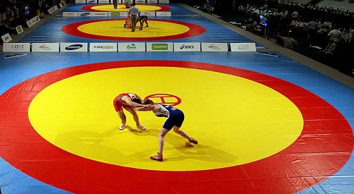 Wrestling Mats Wholesaler in India