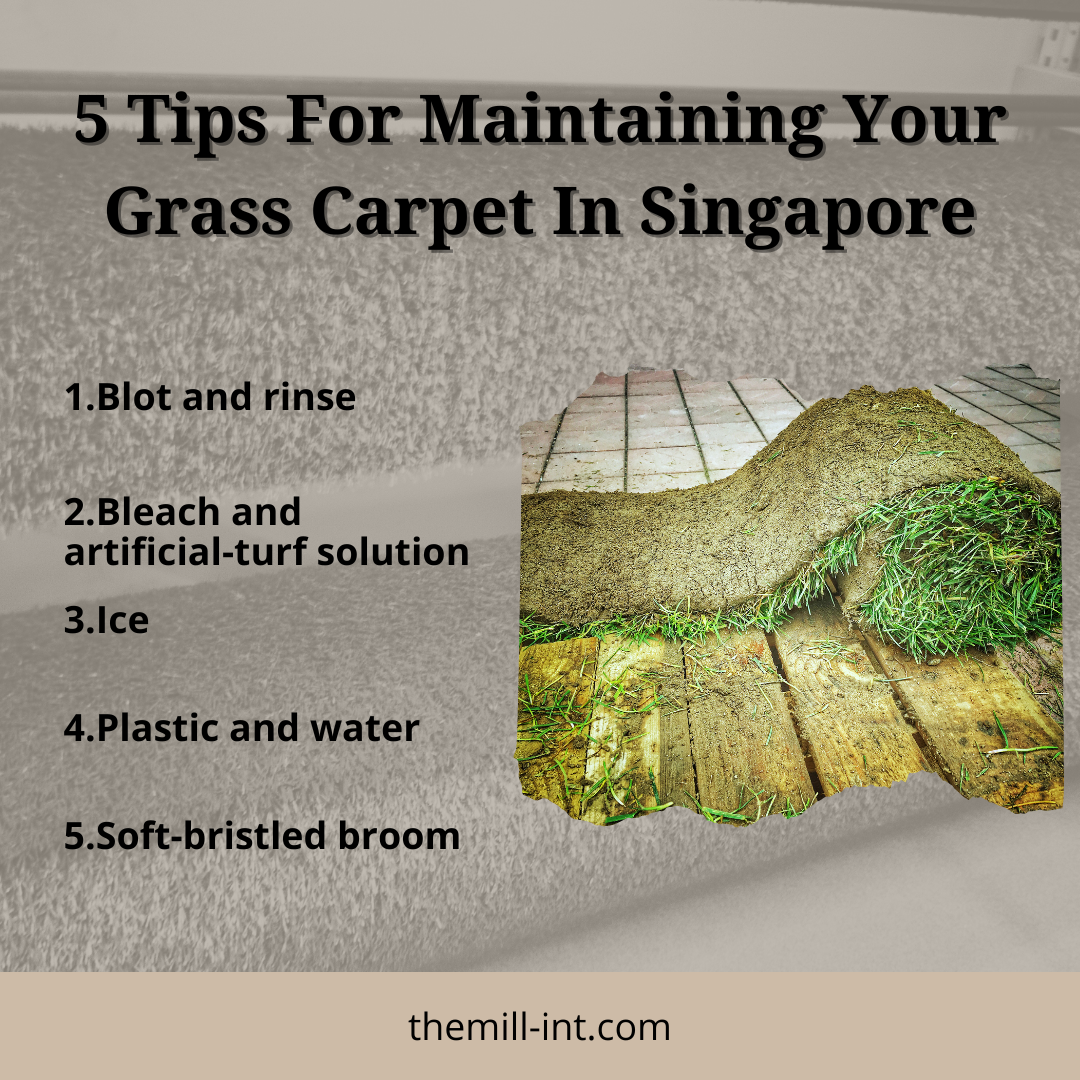 5 Tips For Maintaining Your Grass Carpet In Singapore