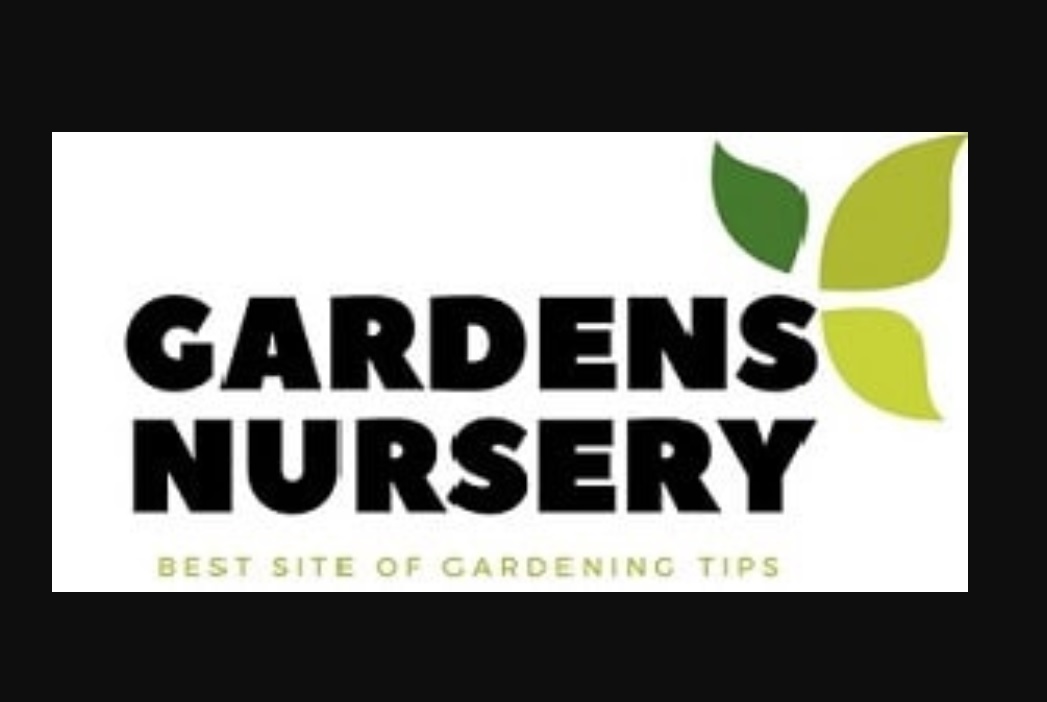 Garden Nursery: Why You Should Support Your Local Garden Locations