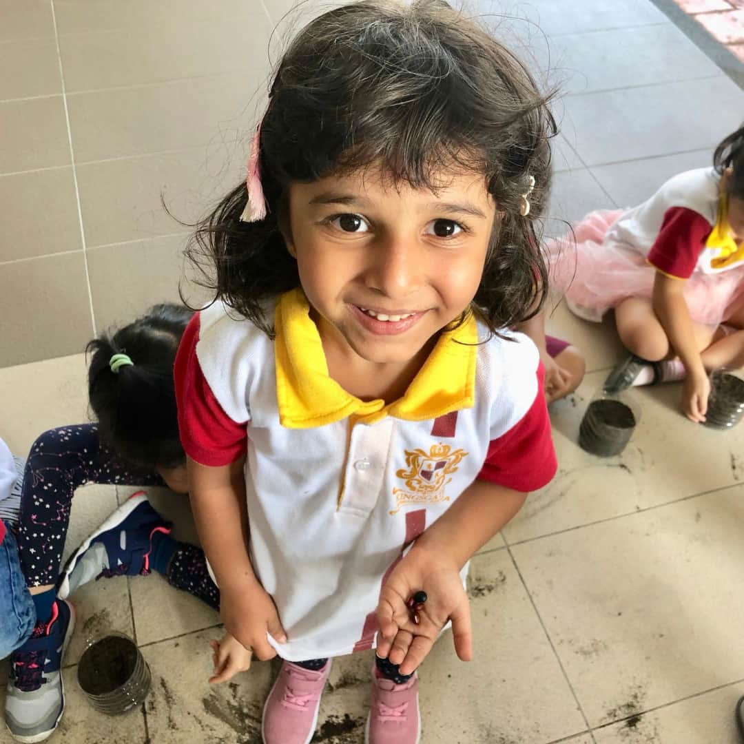 Top Top reasons to Join Your Youngsters in International Preschool