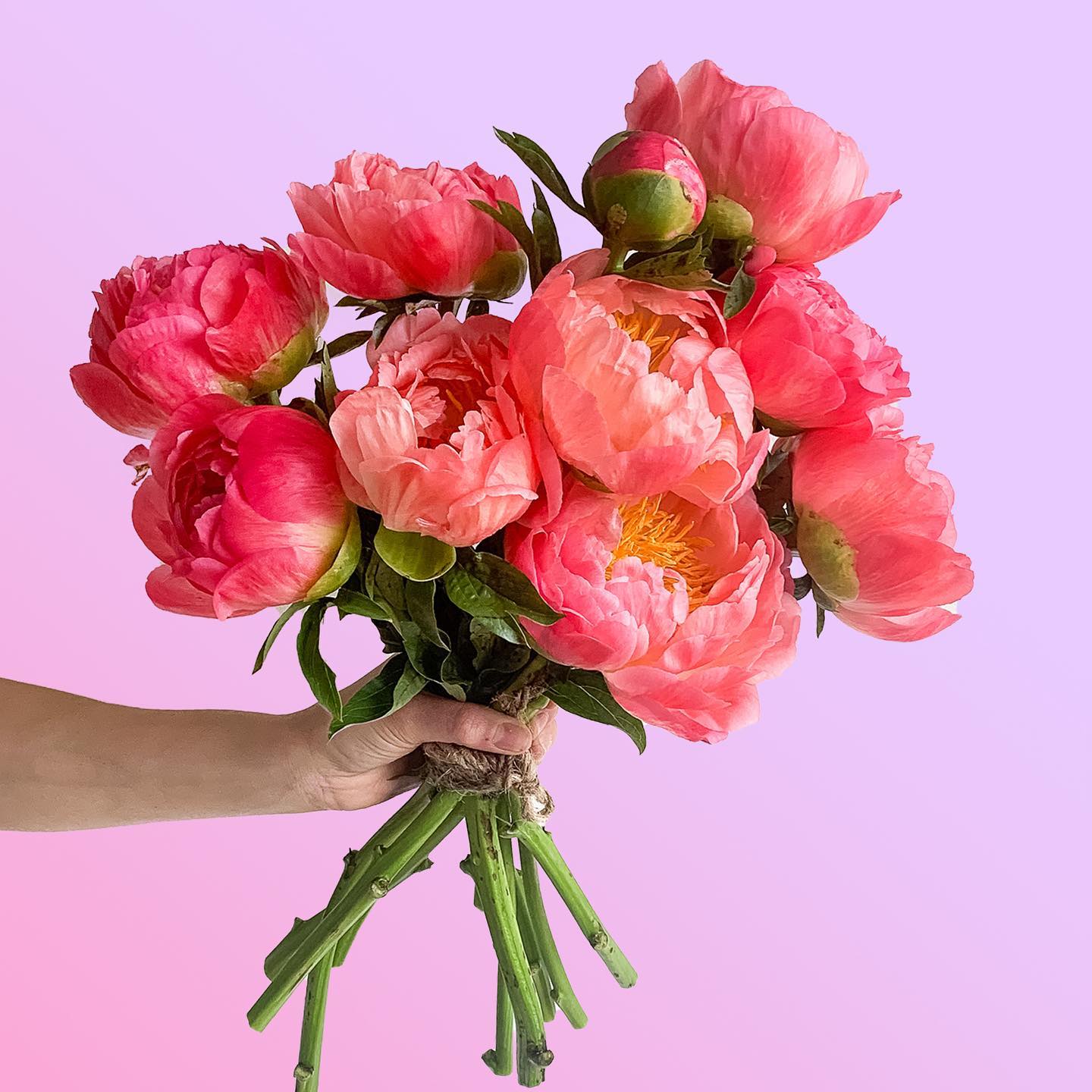 Flower Delivery Can Enhance Everyone's Day