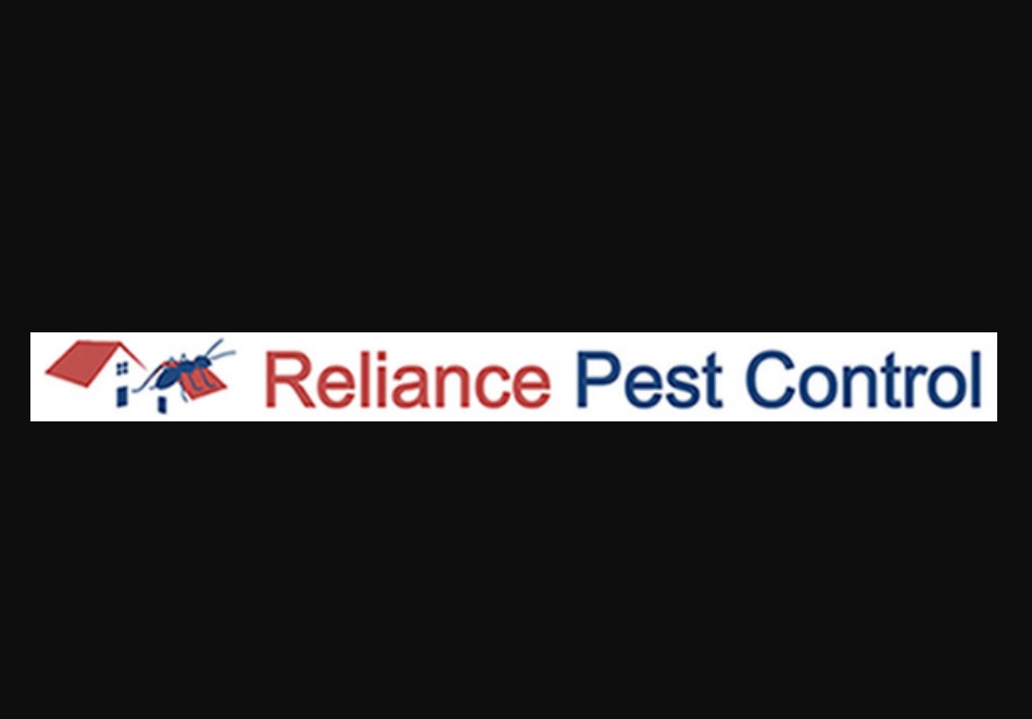 3 Signs You Need Skilled Pest Control Services