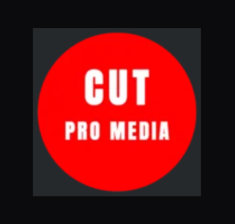Selecting appropriate video editing services: advice for companies and creators