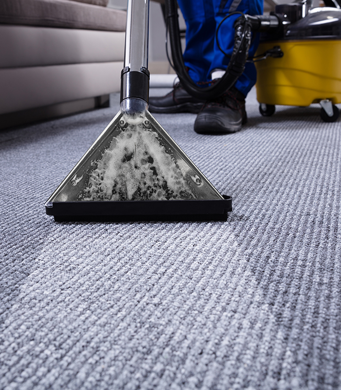 The Frequency Of Which Do You Will need Carpet Cleaning Services?
