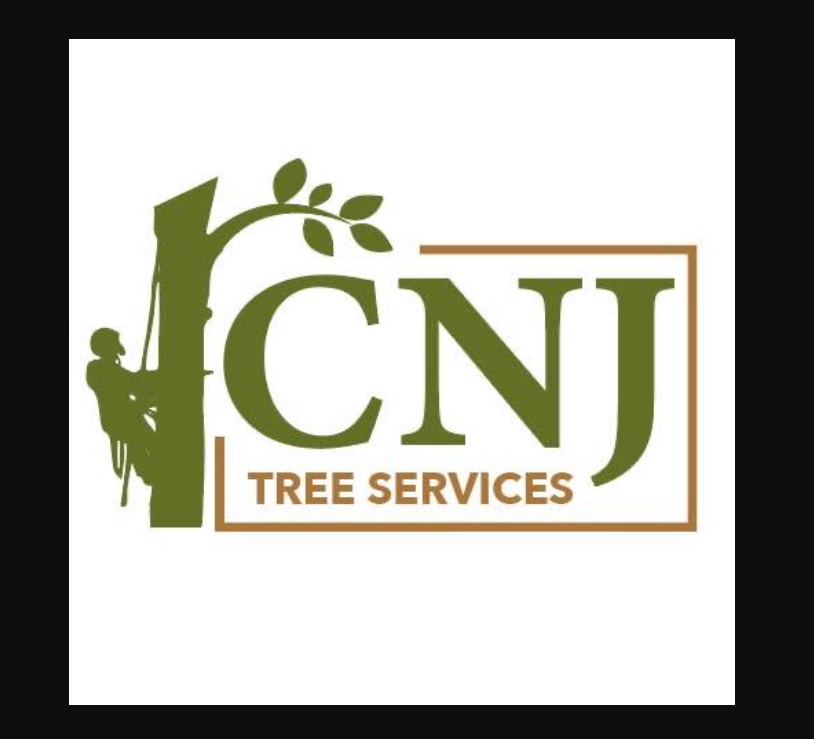 Why Using Tree Surgeons Can Keep Your Bushes Healthy And Seeking Fantastic