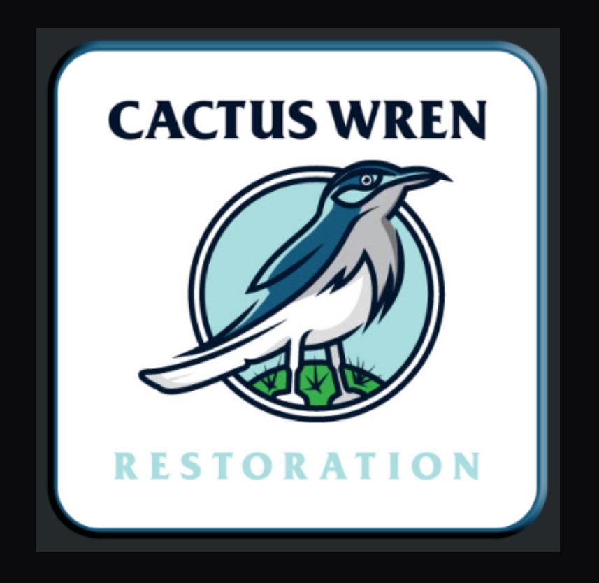    What Makes Our Expert Mold Remediation Services in Gilbert, AZ Stand Out?