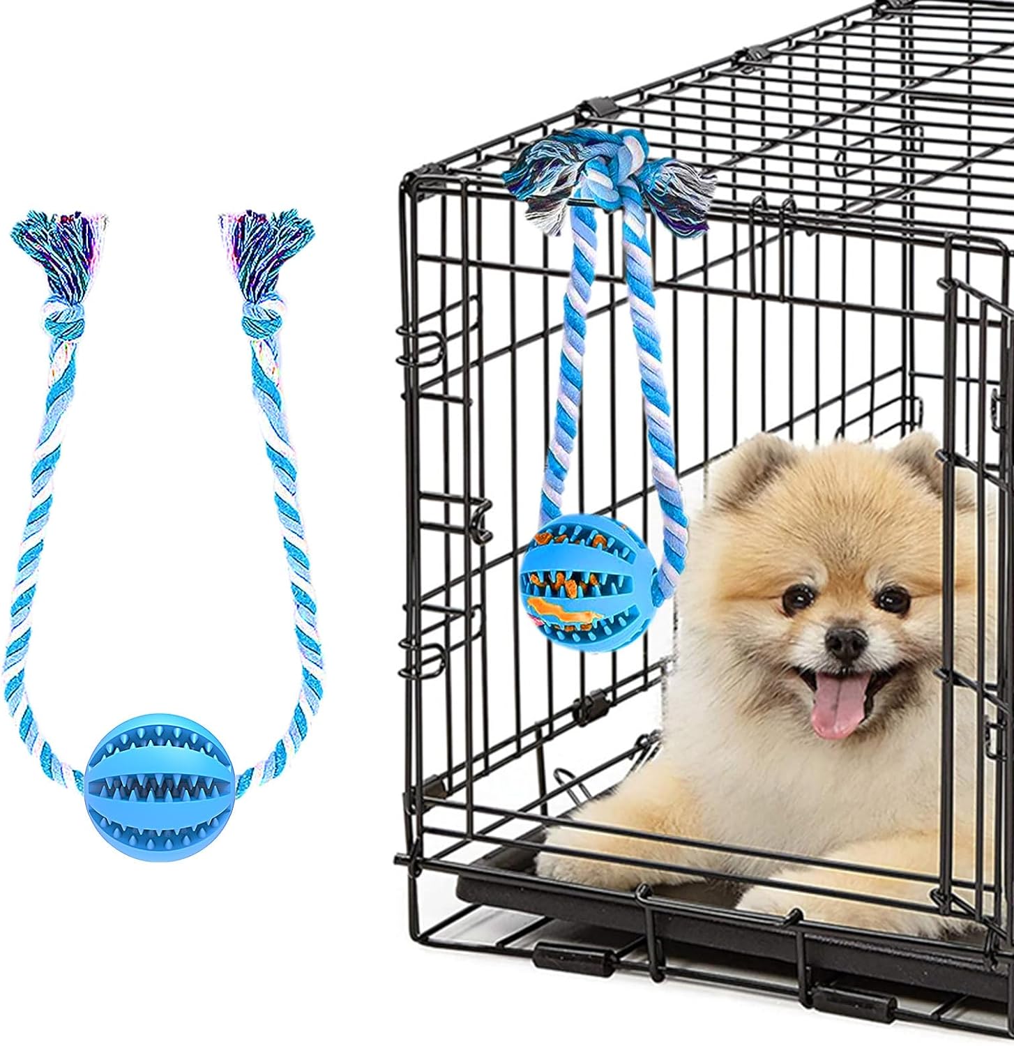 Old Dog Products: Improving the Well-being of Your Older Pet