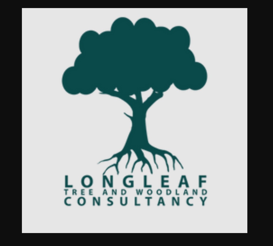 Methods for Choosing a Tree Service