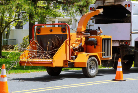 How to Get the Land Cleared