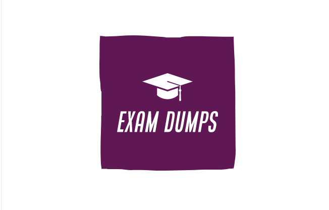   The Exam Dumps flashcards 