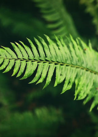 Harness The Maximum Advantage From Your Weekend