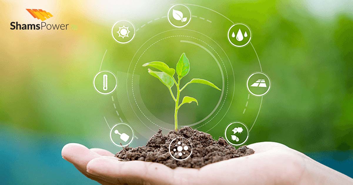 Shams Power - Best steps that will help us fight climate change instantly