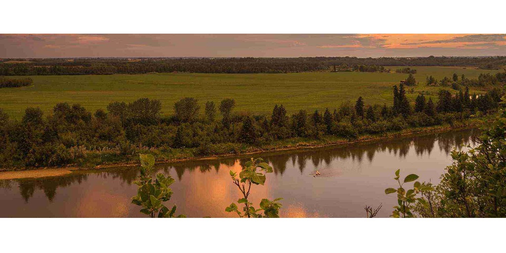 Why To Opt For Survey Companies in Red Deer 