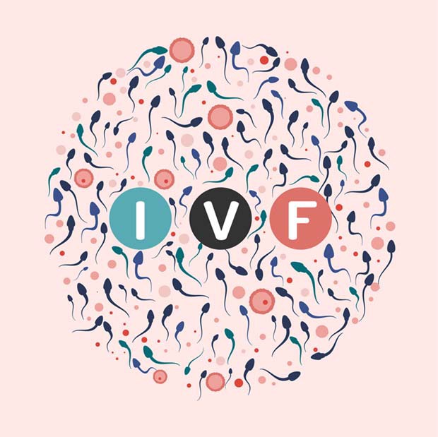All You Need To Know About Egg Quality For Successful IVF