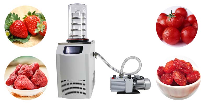 Do you need a tomato dryer?