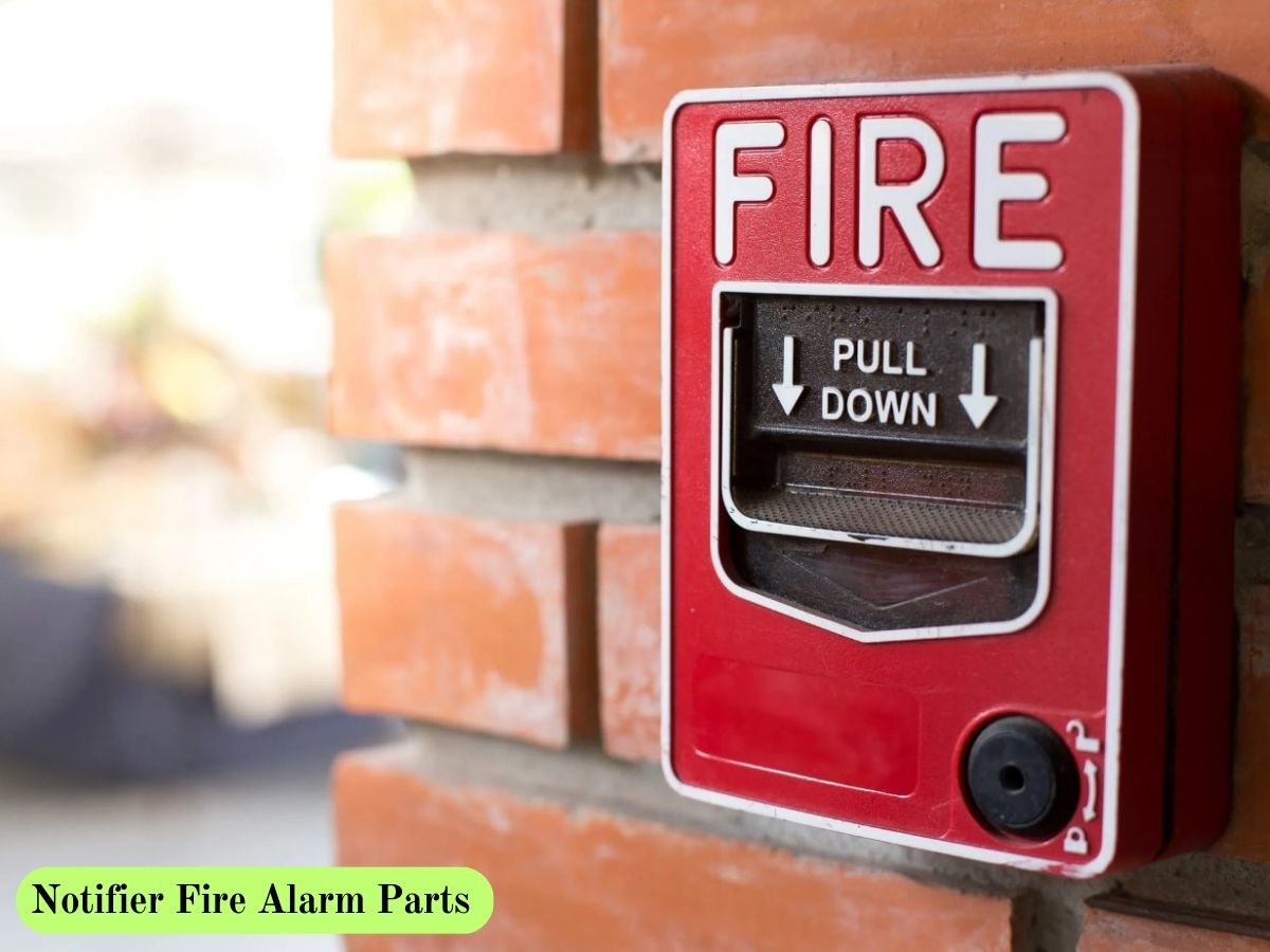 Importance of Installing Fire Alarms and Fire Sprinklers in Hospitals