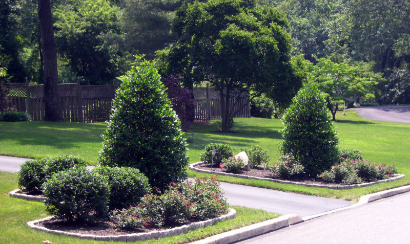 Professional Lawn Care Services Advantages